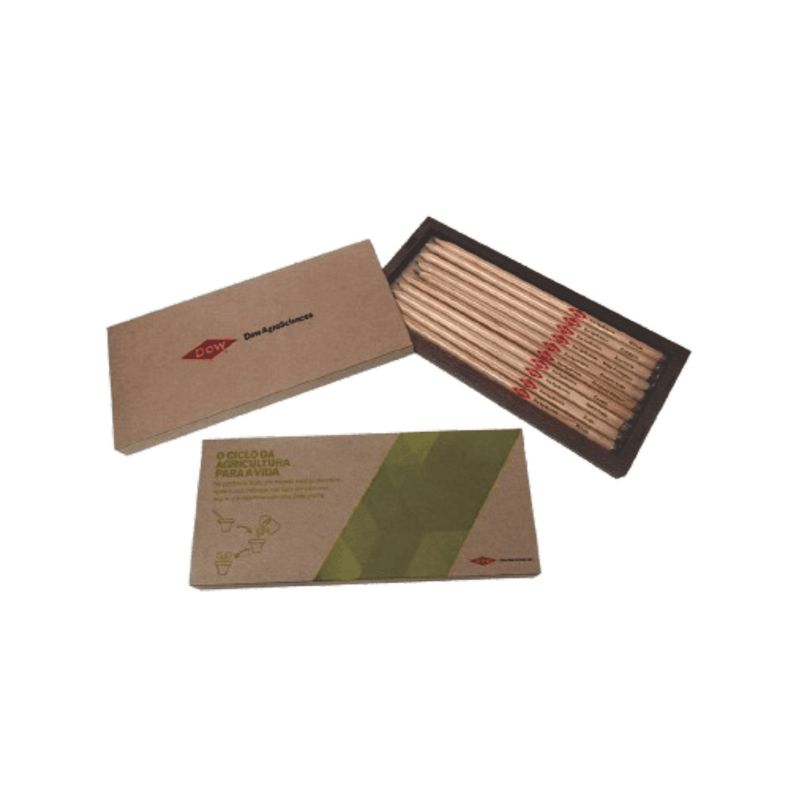 Caixa com 10 Lápis Semente Personalizados MB434 - Imagem 2